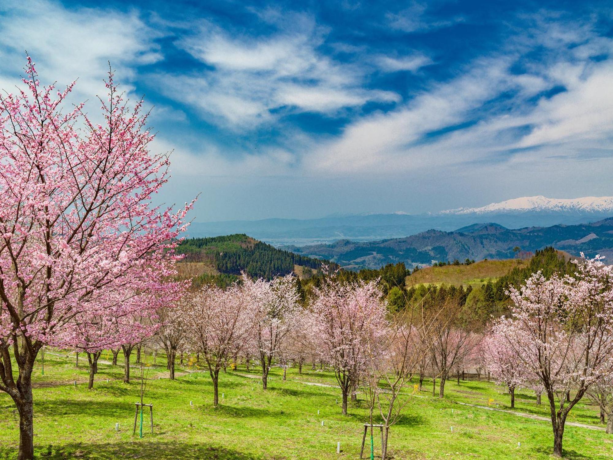 Urabandai Lake Resort Geihinkan Nekoma Rikyu Kitashiobara Экстерьер фото